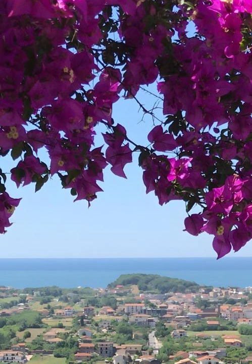 Photo of Others in Minturno