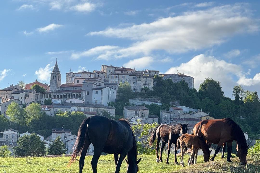 Photo of Buildings in Montenero Val Cocchiara