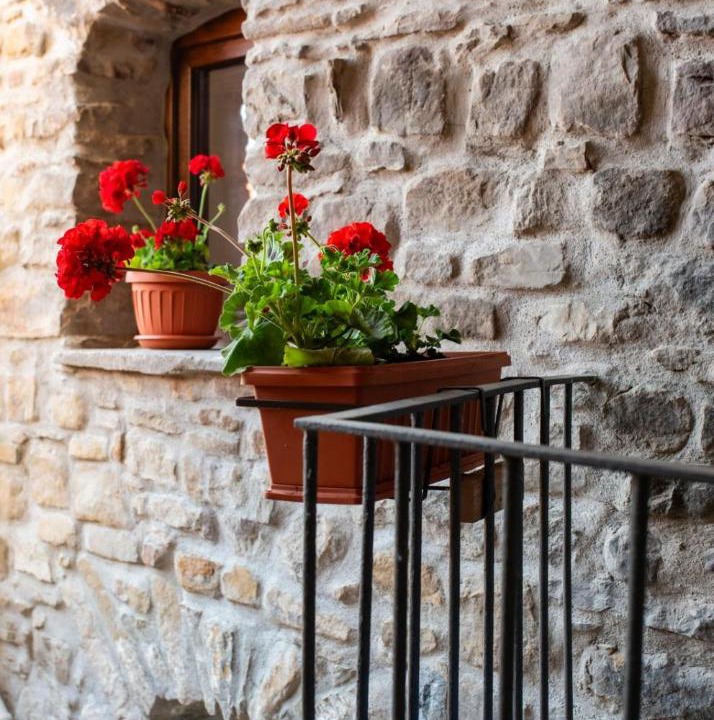 Photo of Others in Castelmezzano
