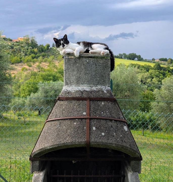 Photo of Others in Montecarotto