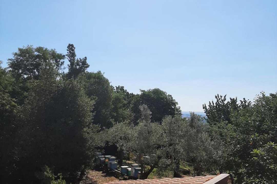 Photo of Others in Morcone