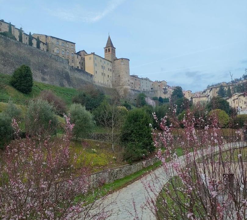Photo of Others in Anghiari