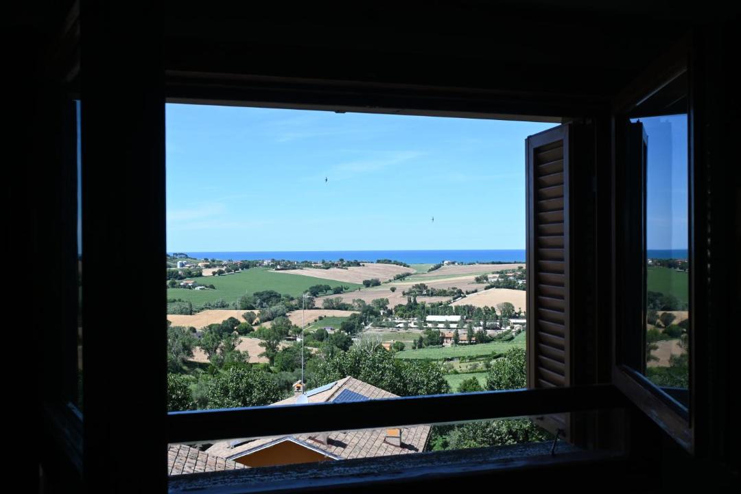 Photo of Others in Montemarciano