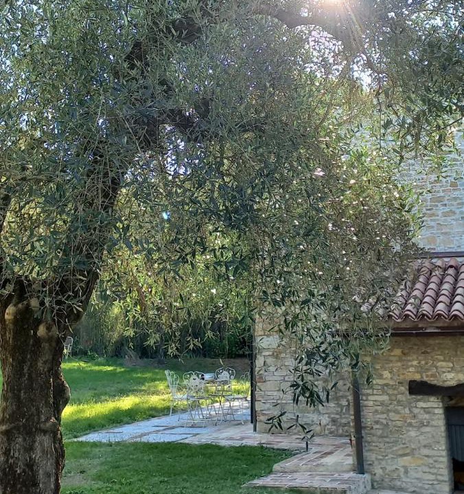 Photo of Others in Montecarotto