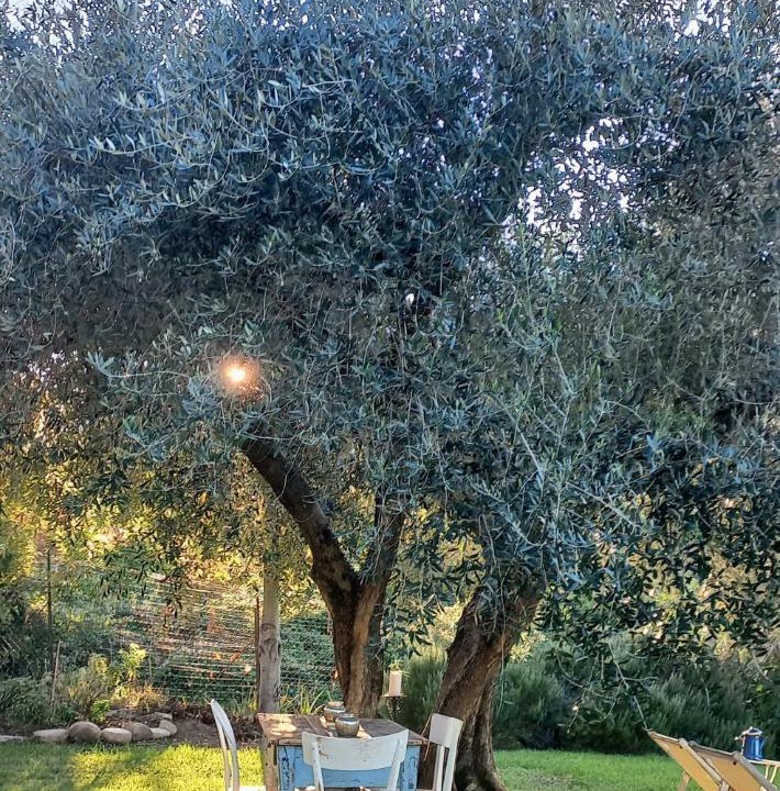 Photo of Others in Montecarotto