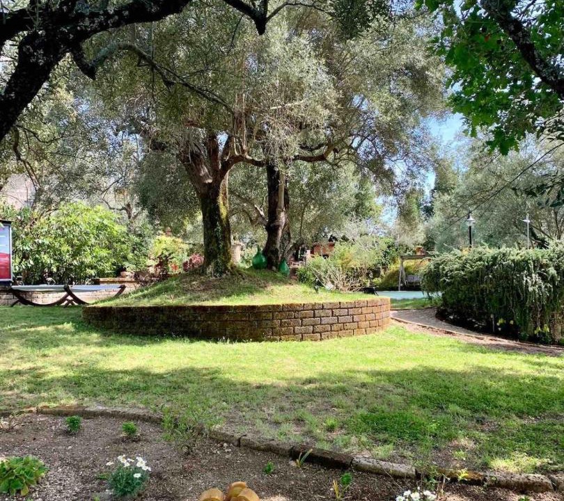 Photo of Outdoor in Piccilli