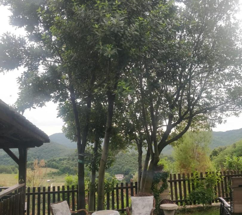 Photo of Others in Spoleto