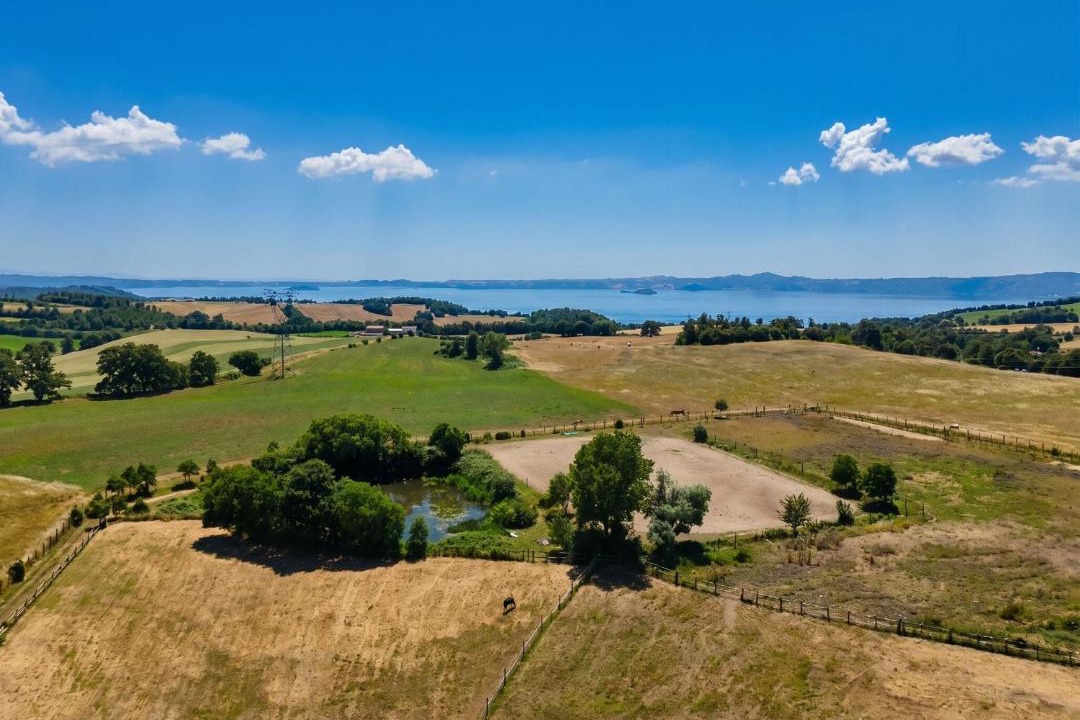 Photo of Others in Bolsena