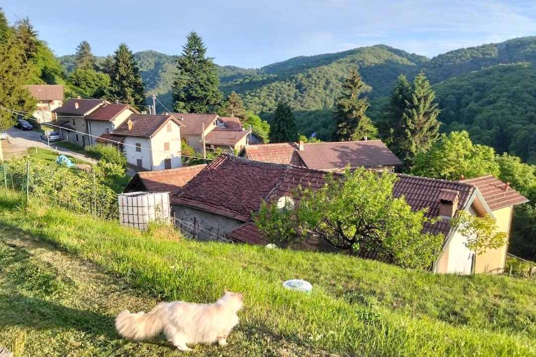 Photo of Others in Busalla