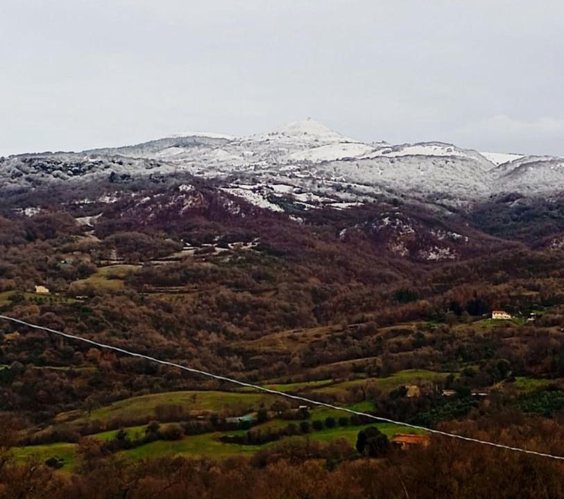 Photo of Others in Roccalbegna