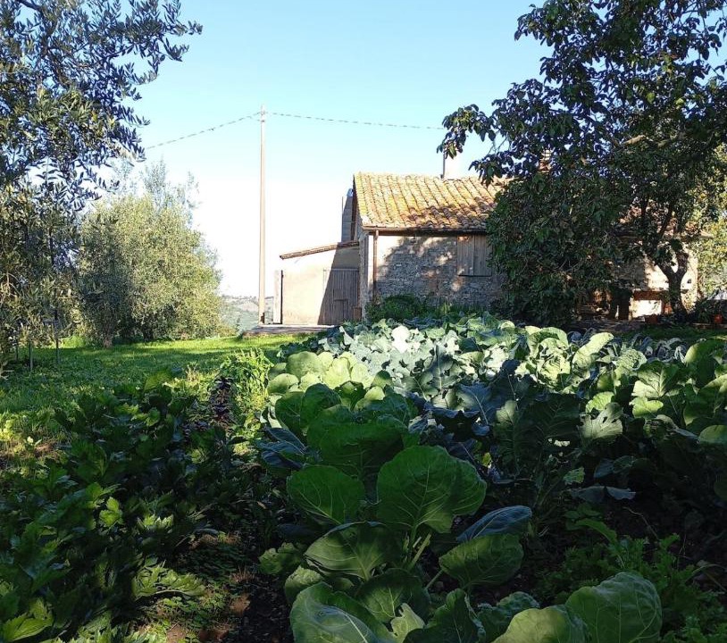 Photo of Others in Roccalbegna