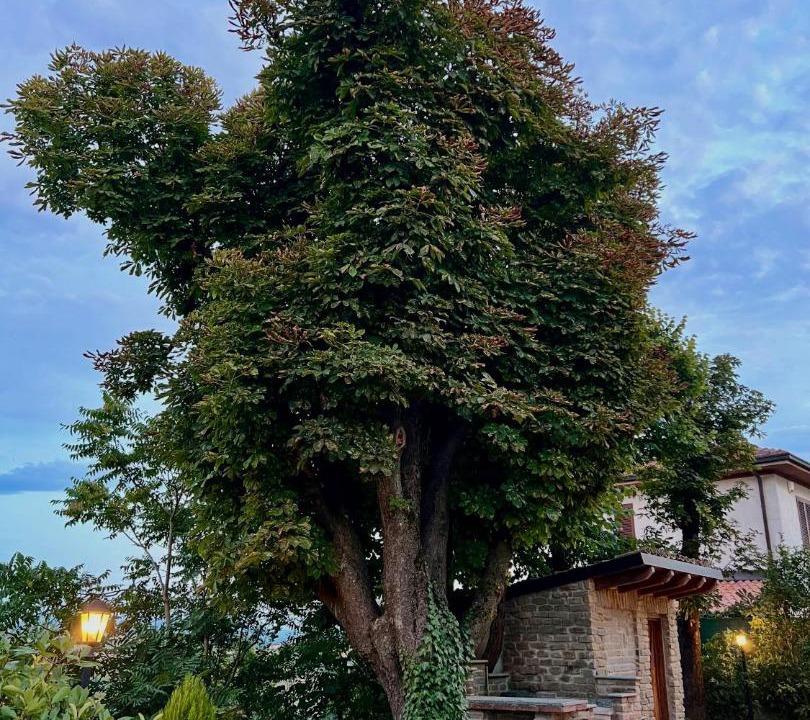 Photo of Outdoor in Villaromagnano