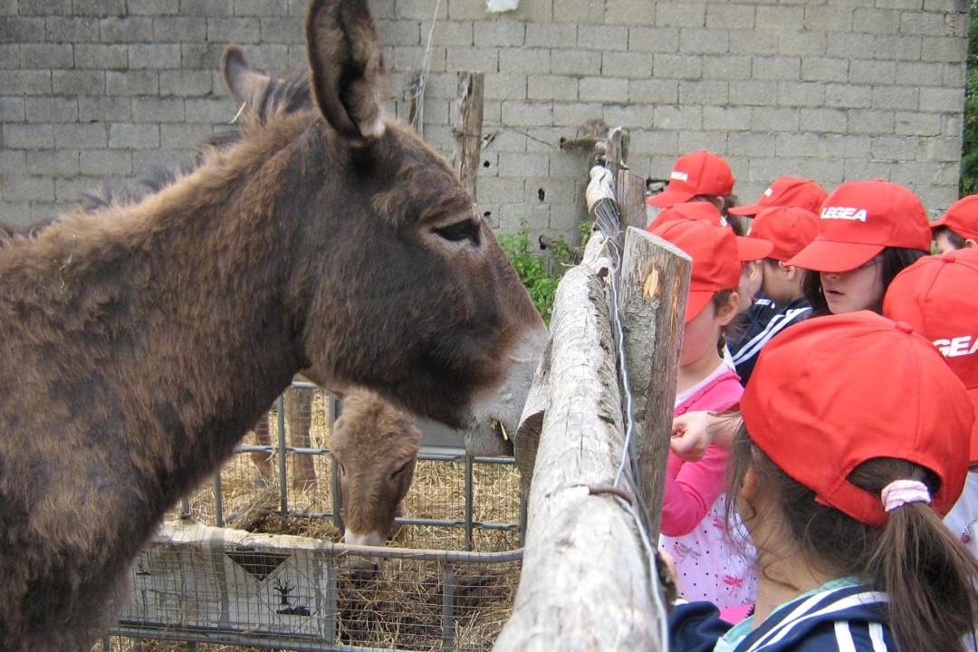 Photo of Others in Montecorvino Rovella