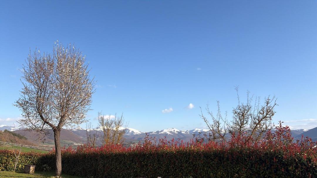 Photo of Others in Serravalle