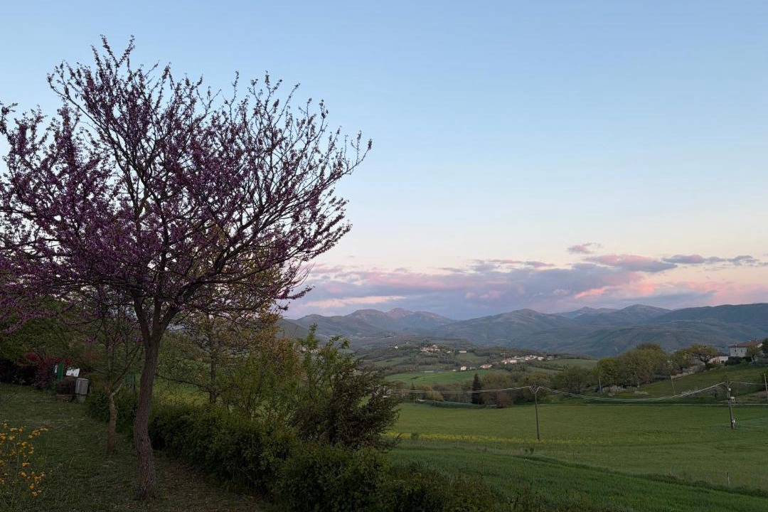 Photo of Others in Serravalle