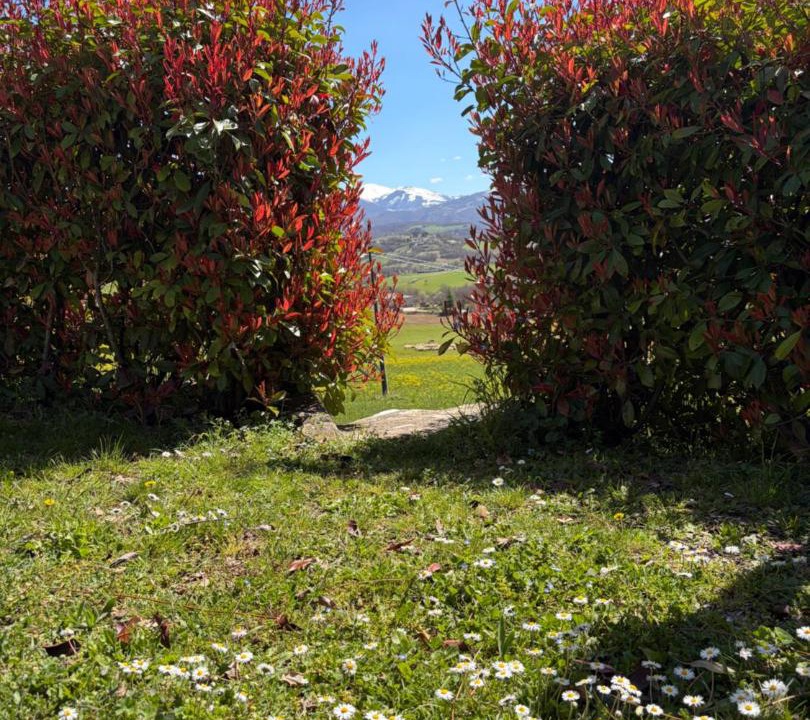 Photo of Others in Serravalle