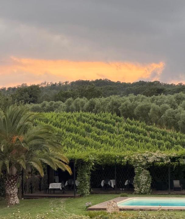 Photo of Others in Magliano in Toscana