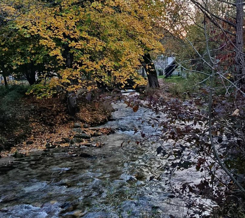 Photo of Others in Villetta Barrea