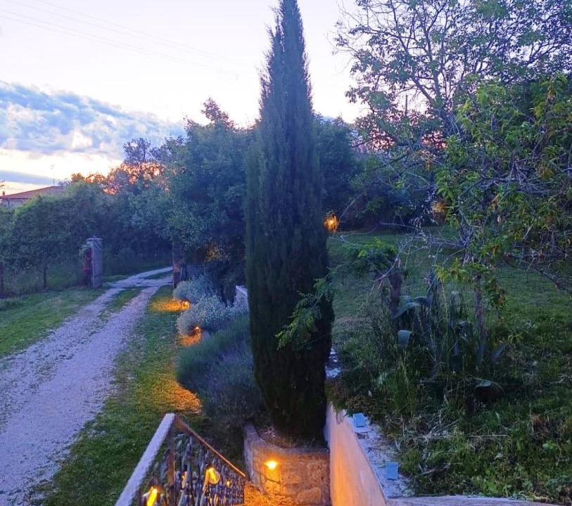 Photo of Others in Bolsena