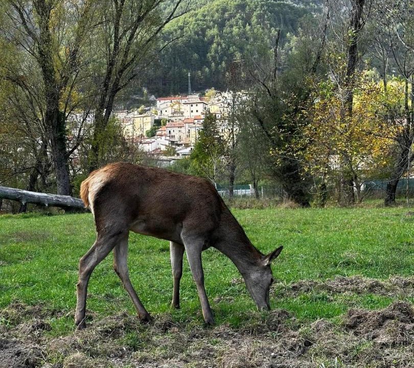 Photo of Others in Villetta Barrea