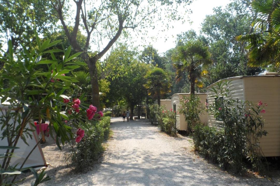 Photo of Others in Potenza Picena
