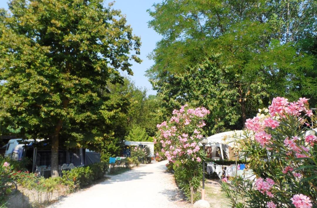 Photo of Outdoor in Potenza Picena