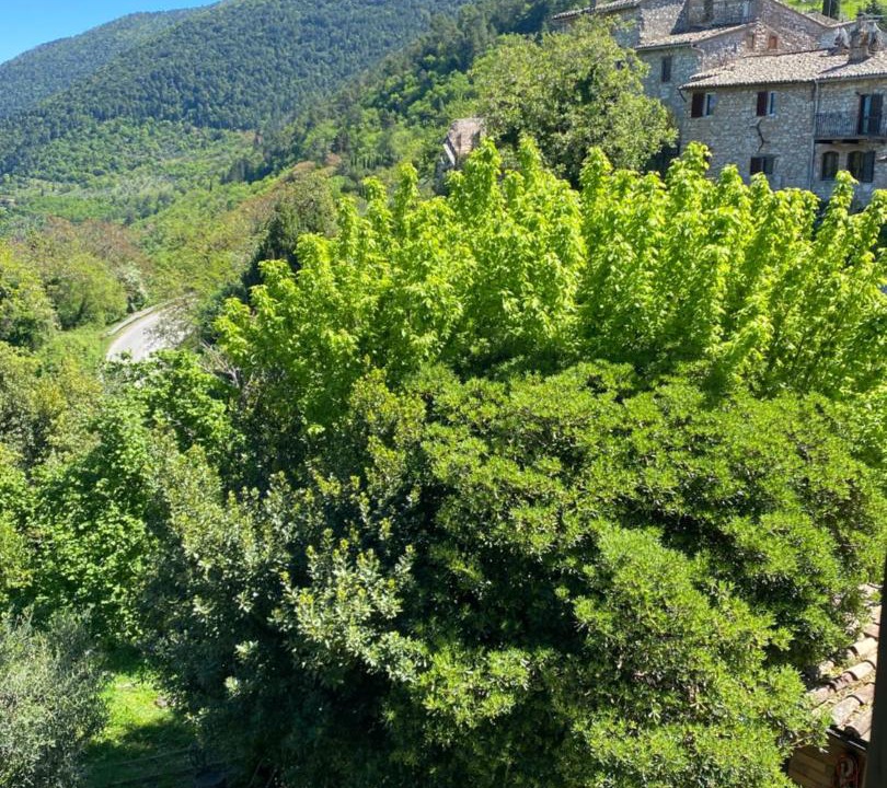 Photo of Others in Assisi