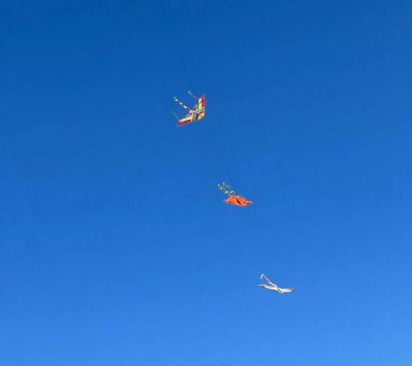 Photo of Others in Francavilla al Mare