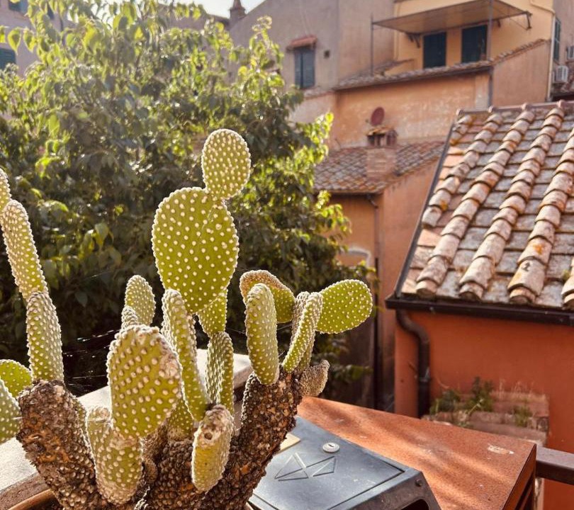 Photo of Others in Tuscania