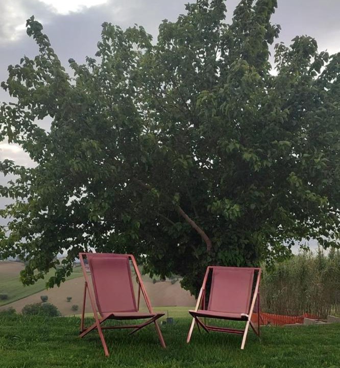 Photo of Outdoor in Morrovalle