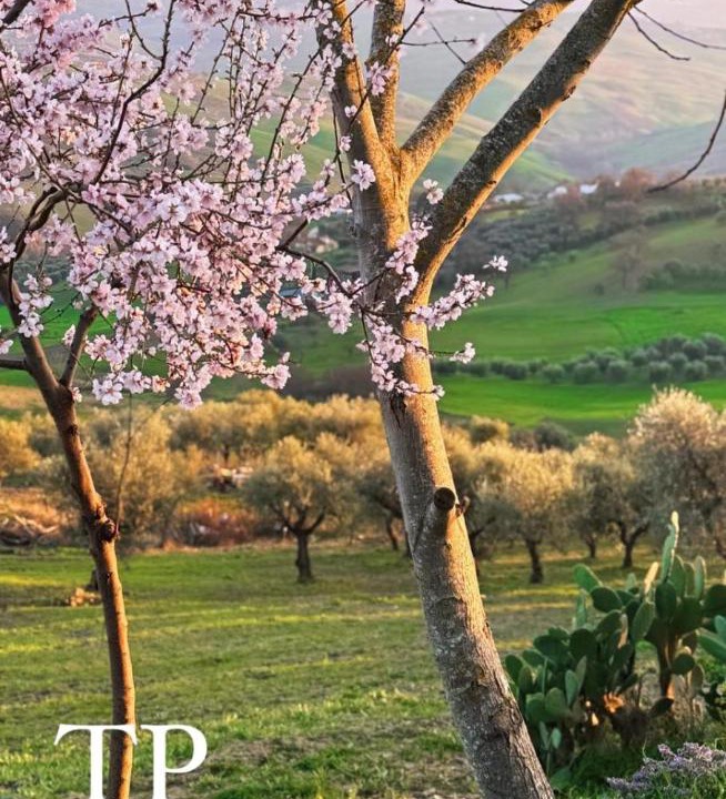 Photo of Others in Ariano Irpino