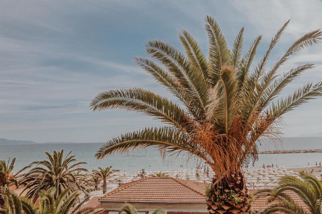 Photo of Others in Follonica
