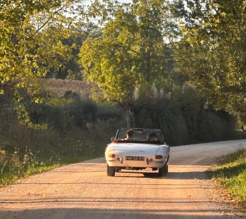 Photo of Others in Corridonia