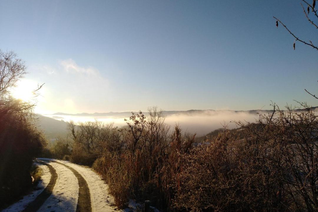 Photo of Others in Acqui Terme