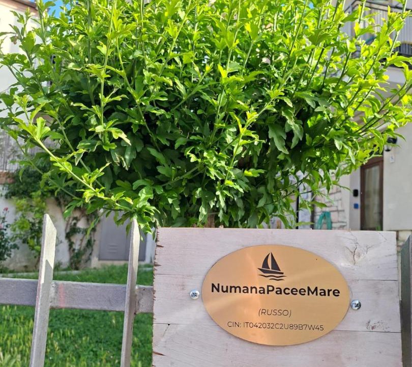 Photo of Others in Numana