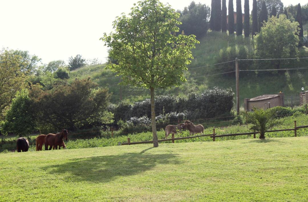 Photo of Others in Rignano Flaminio