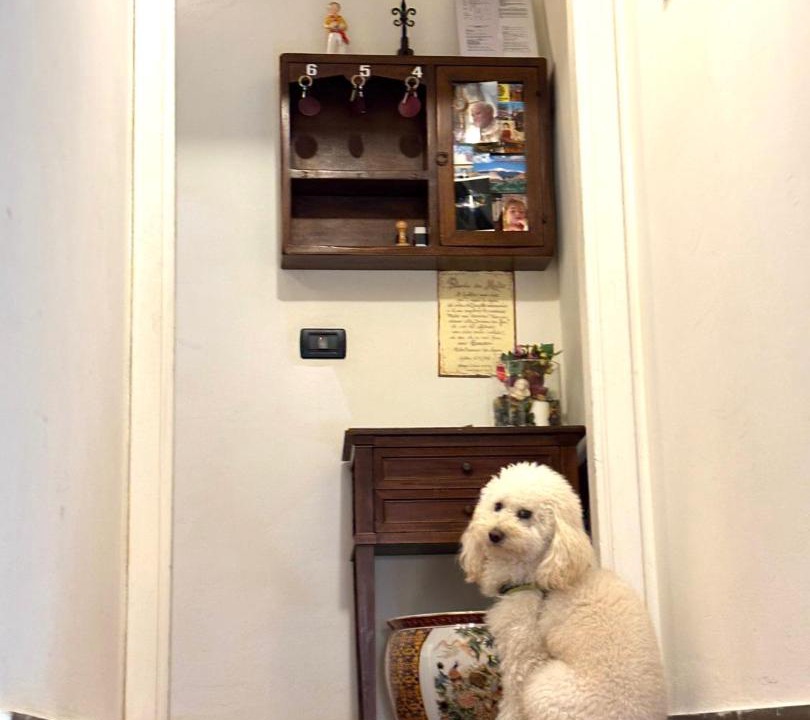 Photo of Others in Gubbio