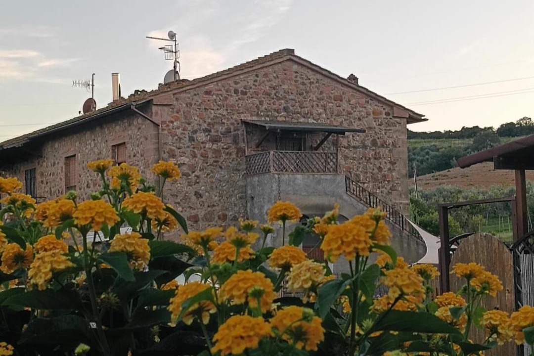 Photo of Others in Roccastrada