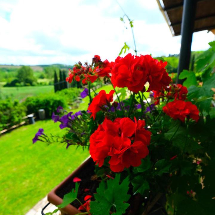 Photo of Patio Balcony in San Giovanni d'Asso