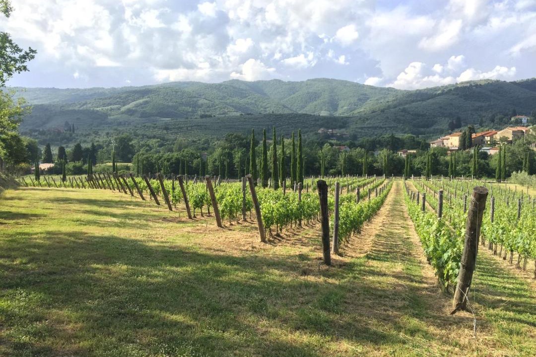Photo of Others in Pieve di Chio