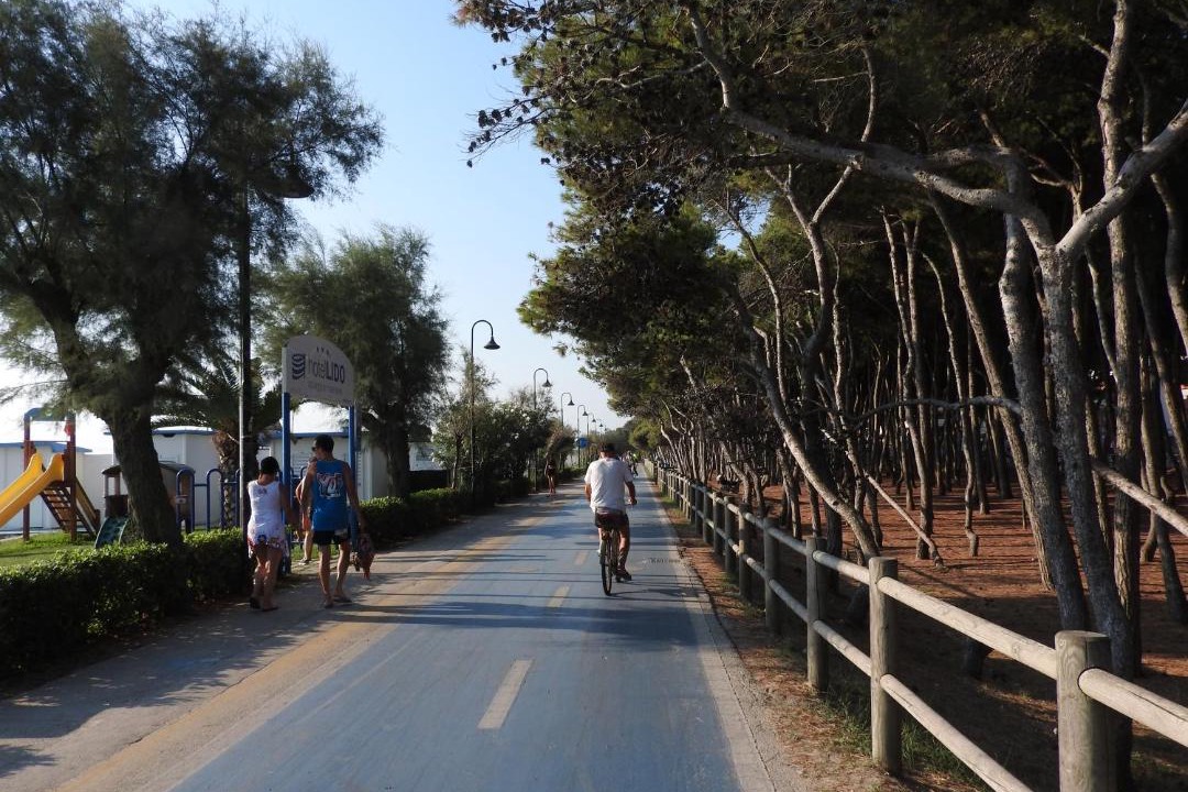 Photo of Others in Alba Adriatica