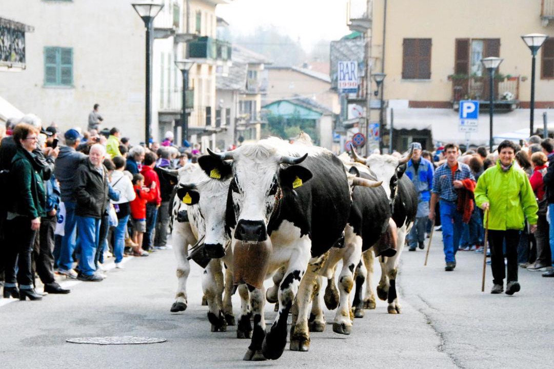 Photo of Others in Bobbio Pellice