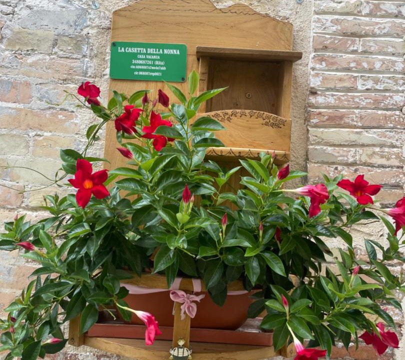 Photo of Others in Caramanico Terme