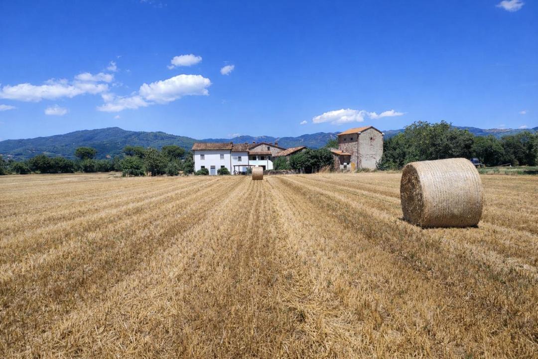 Photo of Others in Sansepolcro