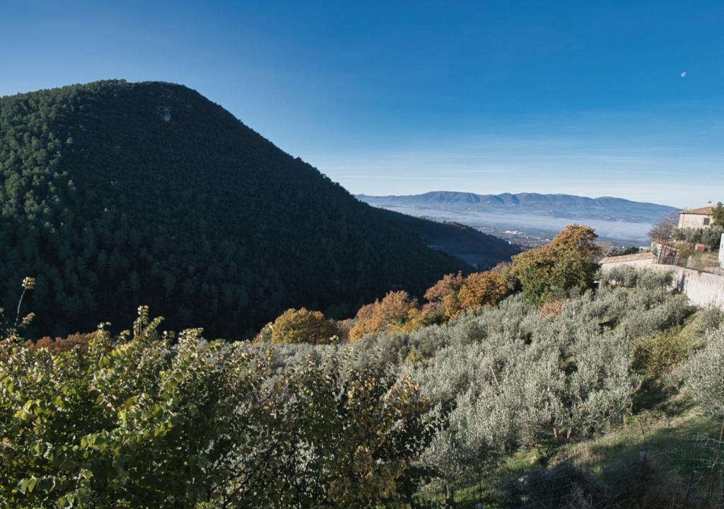 Photo of Others in Spoleto