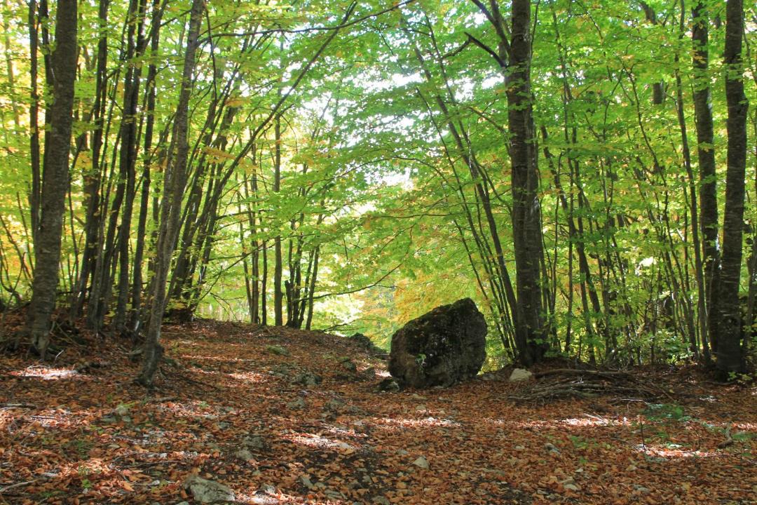 Photo of Others in Roccaraso