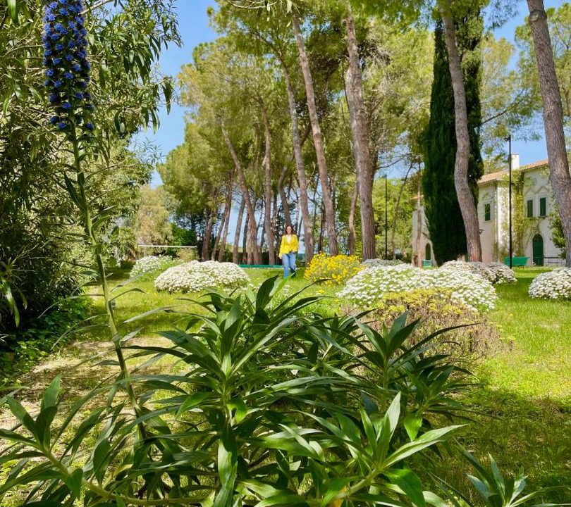 Photo of Others in Vasto