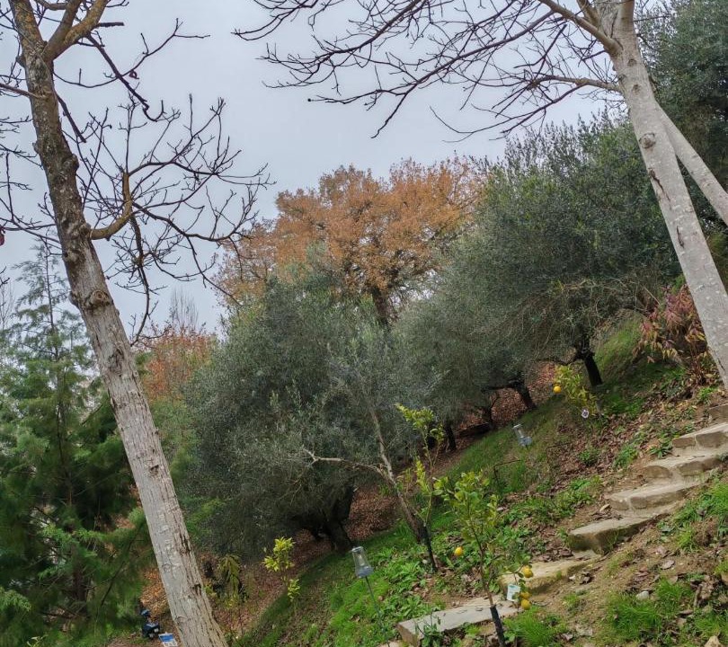 Photo of Others in Lidarno