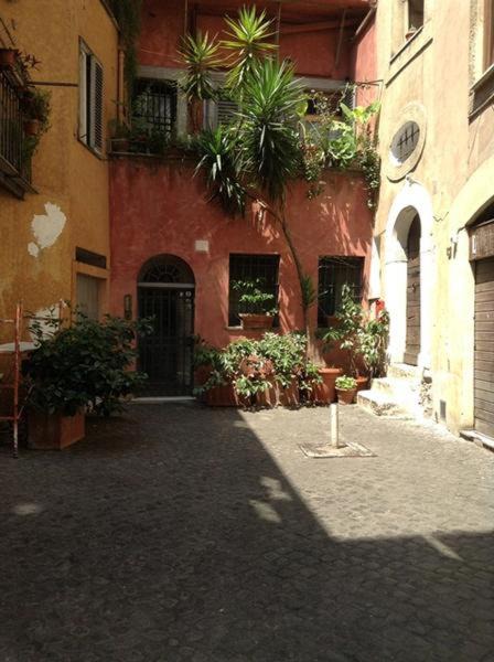 Photo of Others in Monti