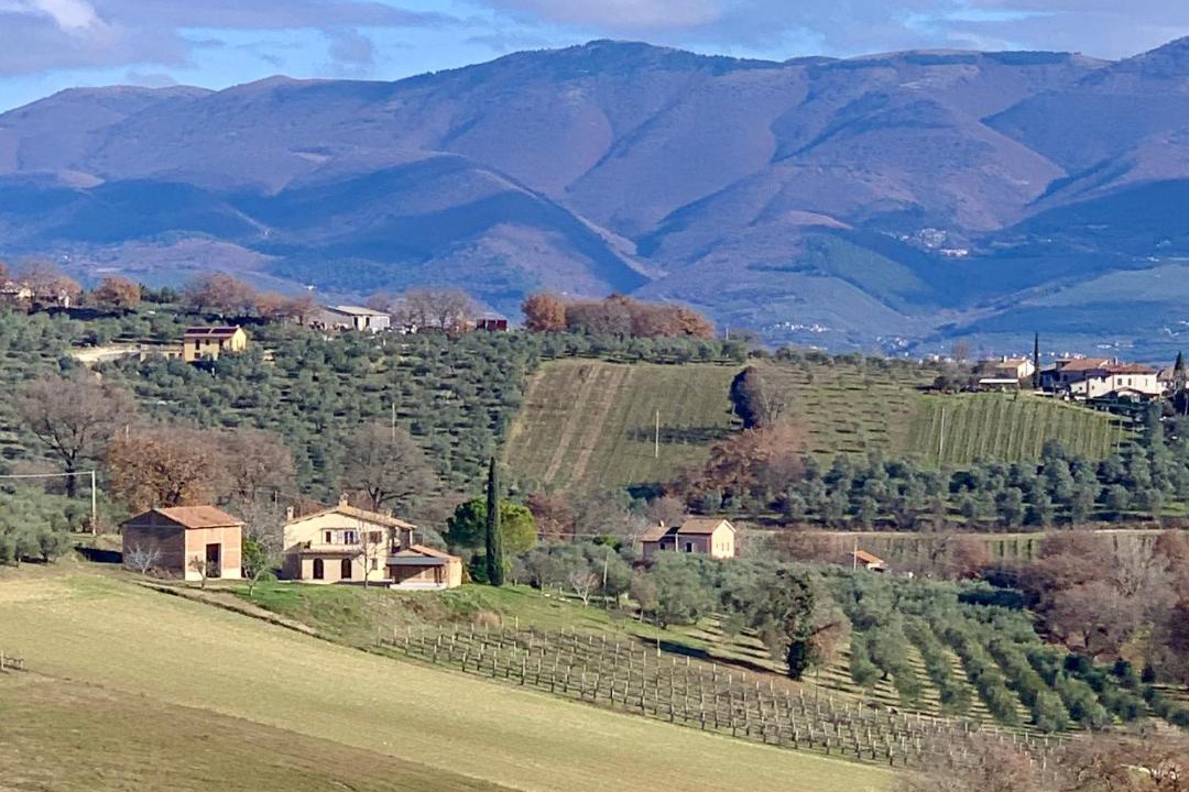 Photo of Others in Montefalco